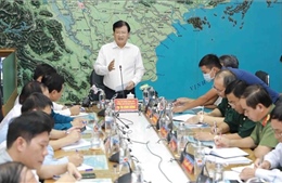 Phó Thủ tướng Trịnh Đình Dũng: Ứng phó bão số 5 theo phương châm 4 tại chỗ