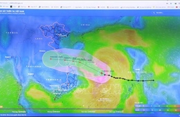 Quảng Nam theo dõi chặt chẽ diễn biến, chủ động ứng phó với bão số 5