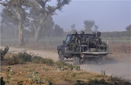 Quân đội Cameroon phát động chiến dịch đặc biệt truy quét các phần tử ly khai tại Bamenda