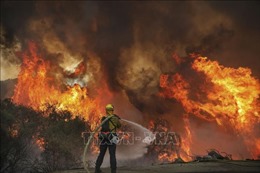 Tất cả rừng quốc gia ở California đã đóng cửa vì cháy 