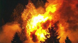 Mỹ: Bang Oregon ban bố tình trạng khẩn cấp do cháy rừng