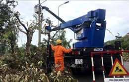 Thừa Thiên - Huế huy động toàn lực khắc phục sự cố lưới điện sau bão số 5