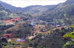 Lâm Đồng thu hồi gần 200 dự án liên quan đến đất rừng