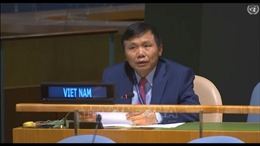Việt Nam cam kết đóng góp nhằm tăng cường pháp quyền ở cấp độ quốc gia và quốc tế