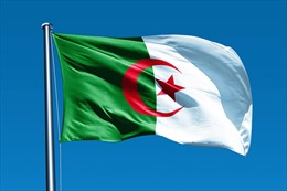 Điện mừng Quốc khánh nước Cộng hòa An-giê-ri Dân chủ và Nhân dân