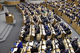 Nga điều chỉnh quy định thành lập Hội đồng Liên bang