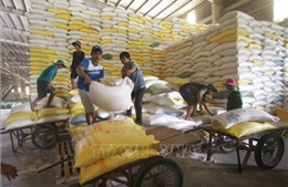 Xuất khẩu nông sản Việt Nam hướng tới mục tiêu 40 tỷ USD 