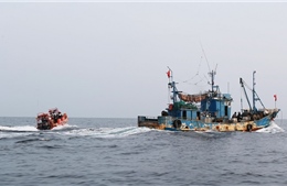 Hàn - Trung nhất trí giảm số tàu đánh bắt cá trên vùng đặc quyền kinh tế