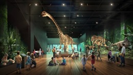 Bảo tàng lâu đời nhất ở Australia chuẩn bị mở cửa đón khách trở lại 