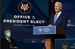 Giành phiếu đại cử tri tại California, ông Biden chính thức trở thành Tổng thống đắc cử 