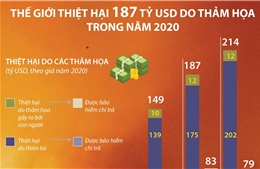 Thế giới thiệt hại 187 tỷ USD do thảm họa trong năm 2020