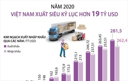 Năm 2020, Việt Nam xuất siêu kỷ lục hơn 19 tỷ USD