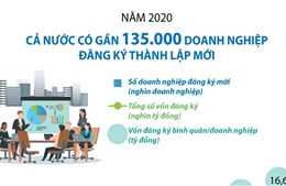 Năm 2020, cả nước có gần 135.000 doanh nghiệp đăng ký thành lập mới 