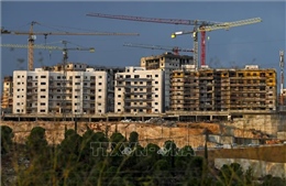 Palestine phản đối việc Israel xây hơn 2.500 nhà định cư mới ở Bờ Tây và Đông Jerusalem