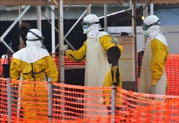 Mỹ cảnh báo nguy cơ bùng phát dịch bệnh Ebola