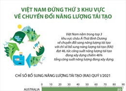 Việt Nam đứng thứ 3 khu vực về chuyển đổi năng lượng tái tạo