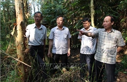 Thực hiện tốt công tác tuần tra bảo vệ rừng trong mùa khô