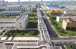 Năm người tử vong do ngộ độc khí tại nhà máy sợi hóa học ở Trung Quốc