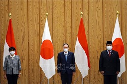 Nhật Bản và Indonesia nhất trí thúc đẩy hợp tác trên nhiều lĩnh vực