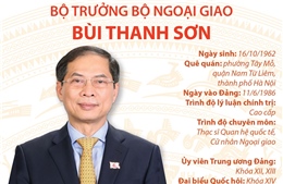 Bộ trưởng Bộ Ngoại giao Bùi Thanh Sơn