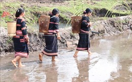 Lễ cúng Giọt nước - nét đẹp văn hóa của dân tộc Jrai ở Tây Nguyên 