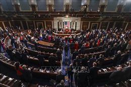 Mỹ phân bổ lại số ghế tại Hạ viện theo kết quả điều tra dân số