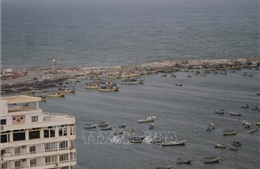 Israel mở lại khu vực đánh cá tại Dải Gaza