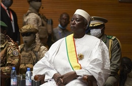 Các lãnh đạo lâm thời của Mali được trả tự do