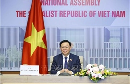 Chủ tịch Quốc hội Vương Đình Huệ hội đàm trực tuyến với Chủ tịch Nhân đại Trung Quốc