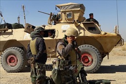 Afghanistan bắt giữ chỉ huy chủ chốt của Taliban 