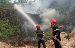 Cháy rừng tại Thừa Thiên - Huế có nguy cơ ảnh hưởng vận hành an toàn điện