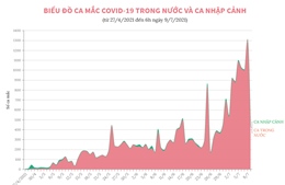 Biểu đồ ca mắc COVID-19 trong nước và ca nhập cảnh