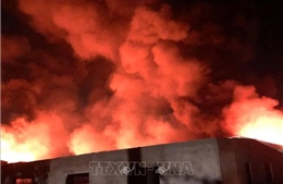 Dập tắt đám cháy lớn trong đêm tại xưởng gỗ rộng 5.000m2 