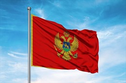 Điện mừng Quốc khánh Montenegro