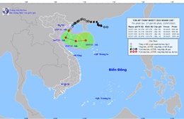 Áp thấp nhiệt đới đổ bộ Quảng Ninh, Hải Phòng, gây gió giật cấp 8