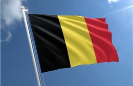 Điện mừng Quốc khánh Bỉ 