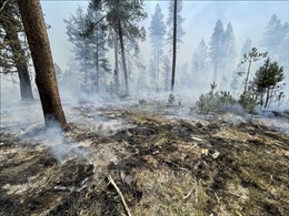 Hàng nghìn người phải sơ tán do cháy rừng tiếp tục lan rộng ở Canada