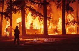 Cháy rừng tạo ra hình thái thời tiết riêng tại bang California, Mỹ 