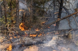 Cháy rừng lan rộng tại California, Mỹ