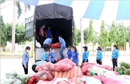 Kon Tum: Hỗ trợ 50 tấn rau, củ, quả cho TP Hồ Chí Minh chống dịch COVID-19
