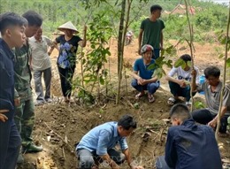 Phối hợp để xác định danh tính 43 hài cốt liệt sỹ tại tỉnh Bình Phước