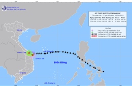 Áp thấp nhiệt đới vẫn trên vùng biển Đà Nẵng đến Quảng Ngãi, những thiệt hại ban đầu