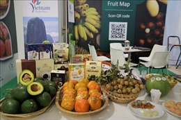 Việt Nam tham dự Hội chợ trái cây Macfrut 2021 tại Italy