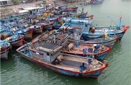 Ứng phó với bão Conson: Thanh Hóa kêu gọi tàu thuyền vào nơi tránh trú bão an toàn