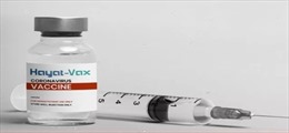 Hayat – Vax thành vaccine phòng COVID-19 thứ 7 được phê duyệt tại Việt Nam