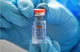 Indonesia tiếp nhận thêm hơn 1,8 triệu liều vaccine của hãng Sinovac