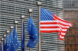 Các nước EU ủng hộ hợp tác công nghệ và thương mại với Mỹ 