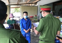 Khởi tố, bắt tạm giam hai bị can để điều tra tội hủy hoại rừng ở Phú Yên