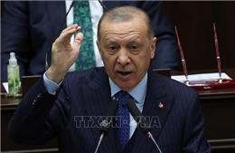 Tổng thống Thổ Nhĩ Kỳ: &#39;Không hoan nghênh&#39; 10 đại sứ các nước phương Tây 