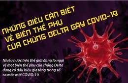 Những điều cần biết về biến thể phụ của chủng Delta gây COVID-19